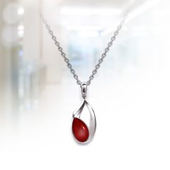   Prémium titán medál és nyaklánc vörös onyx kővel FNL-LJ-TI5700